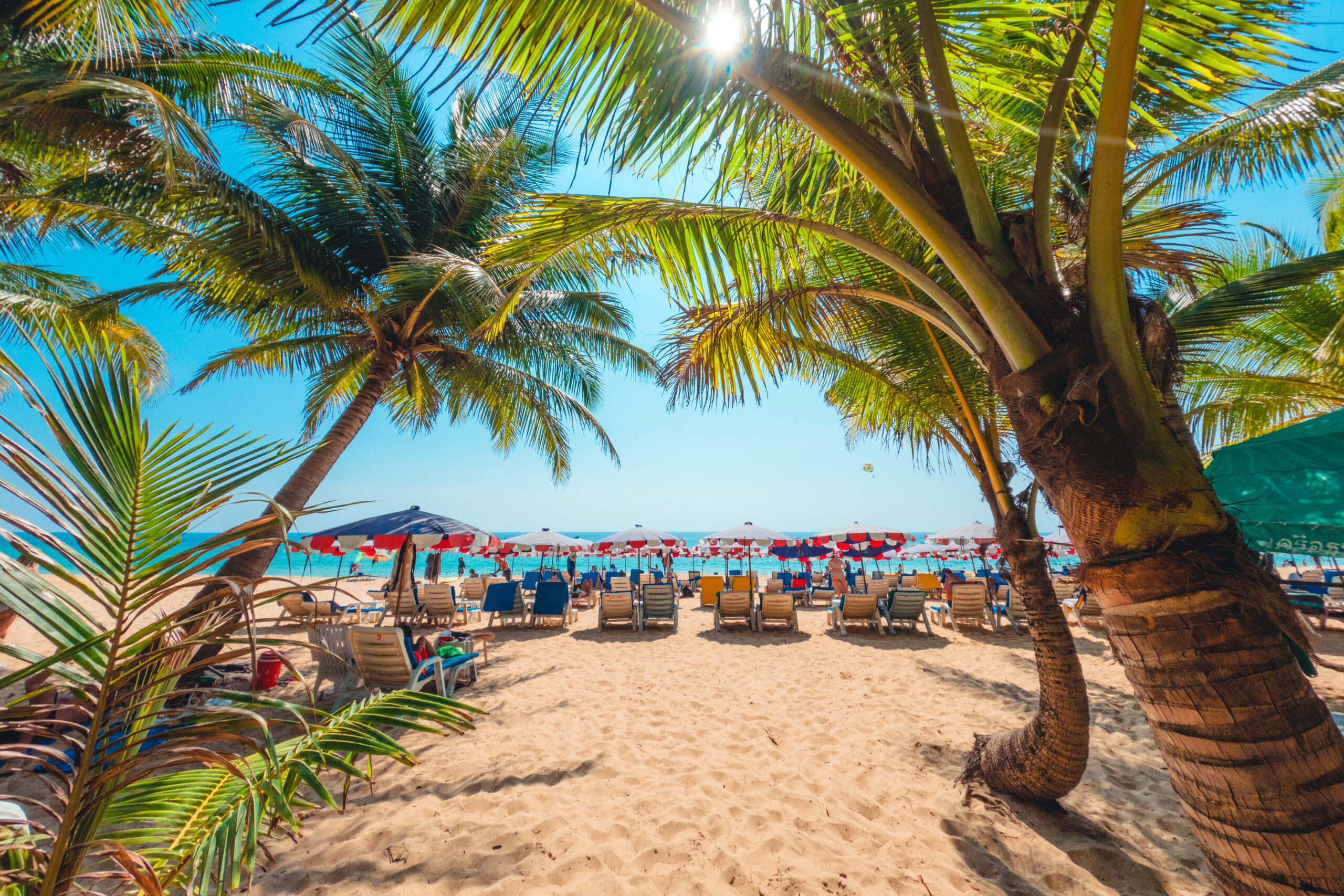 coconut-trees-on-island-beach-and-summer-vacation-2023-11-27-05-20-23-utc