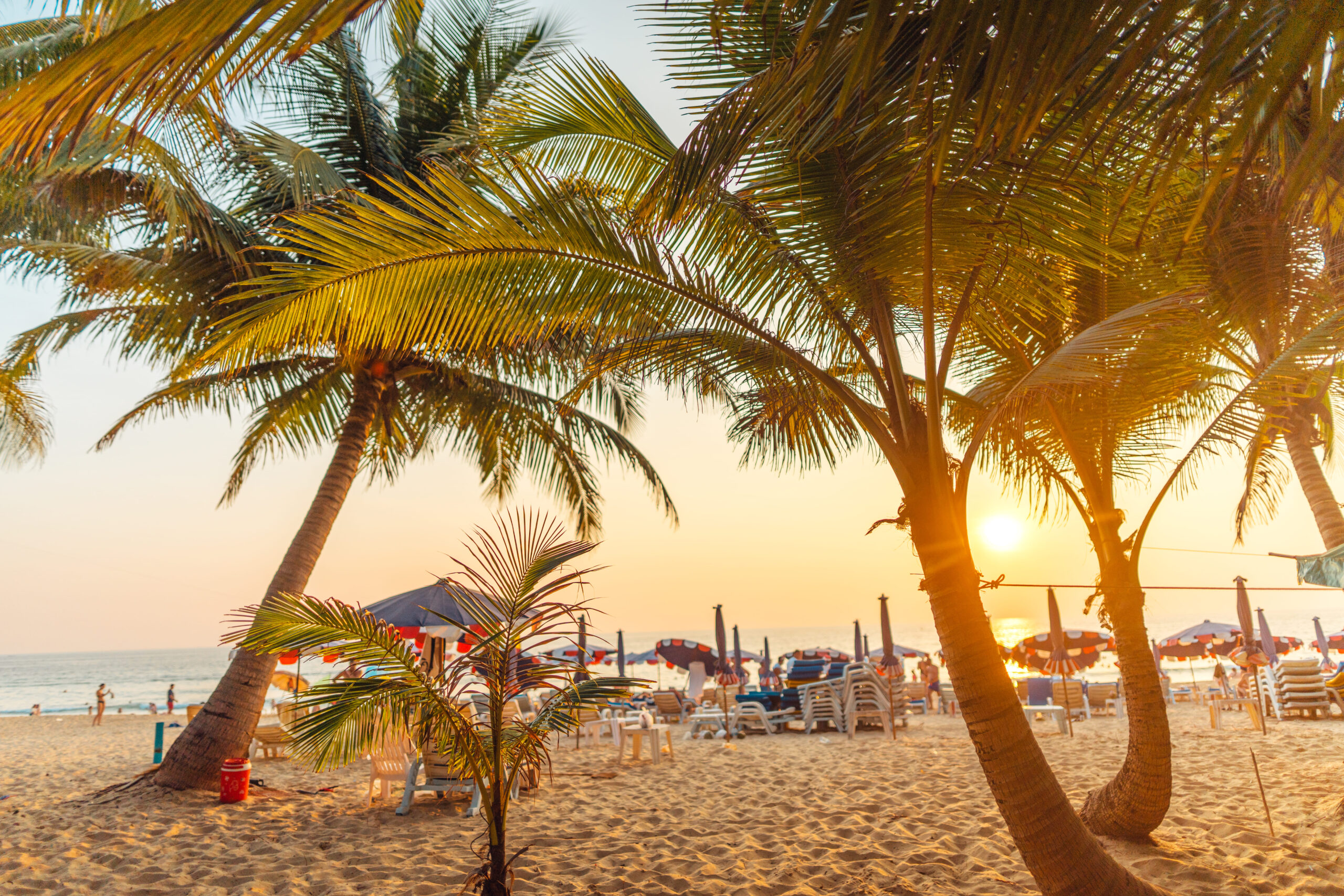 evening-beach-coconut-trees-on-island-beach-and-su-2023-11-27-04-50-08-utc